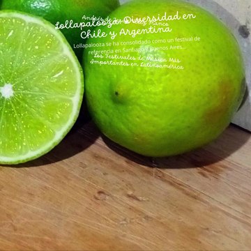 -ANDRÉS DE JESÚS VÉLEZ FRANCO- FESTIVALES DE MÚSICA MÁS IMPORTANTES EN LATINOAMÉRICA (PARTE 1) (@AndresdeJesus90)