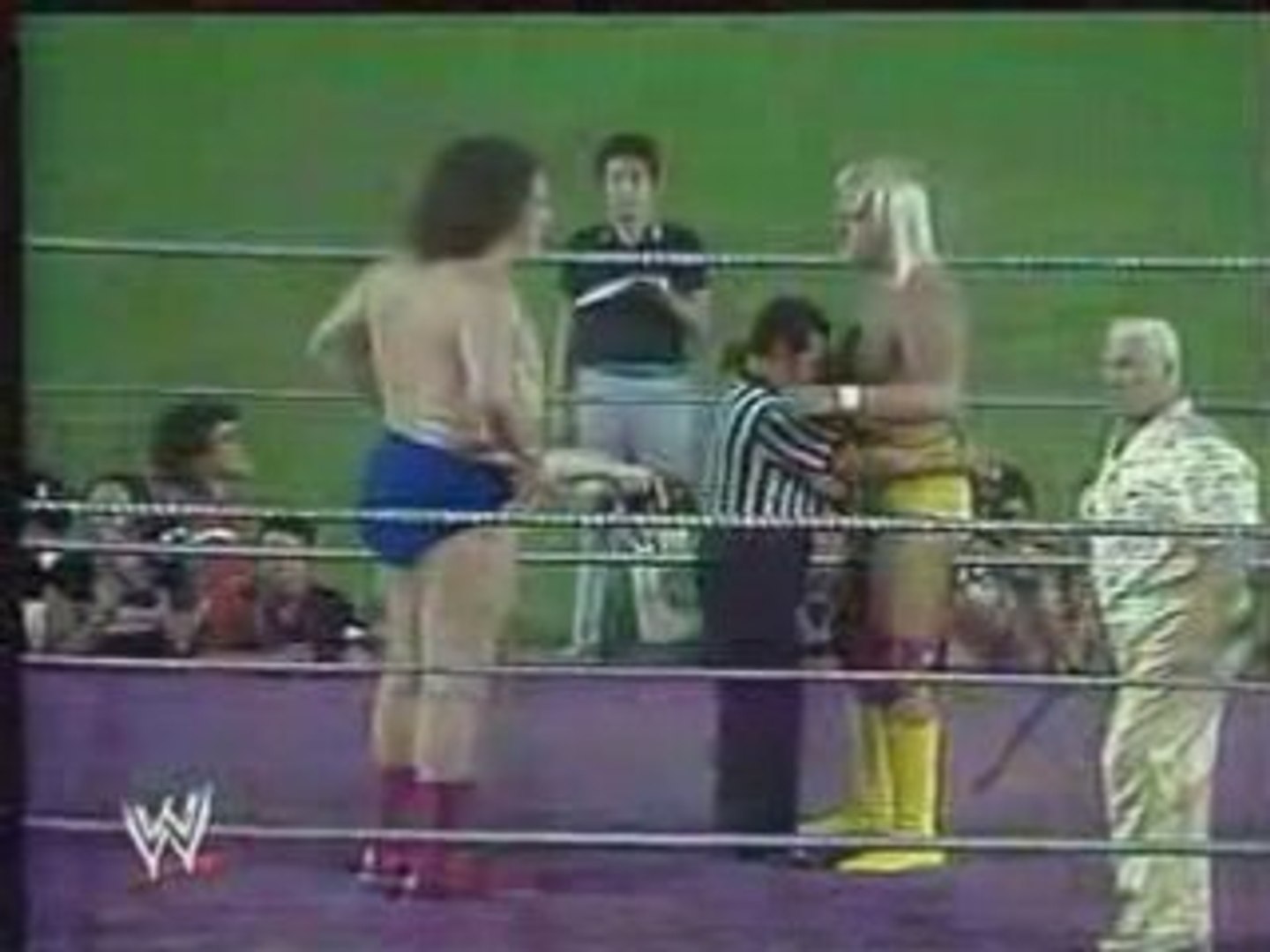 Hulk Hogan vs Andre The Giant Shea Stadium 1980 - video Dailymotion
