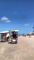 Praia Brasileira e suas belezas
