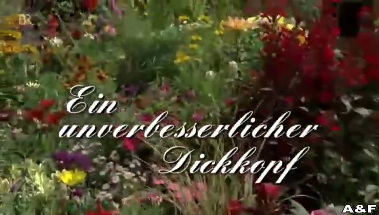 Ein unverbesserlicher Dickkopf