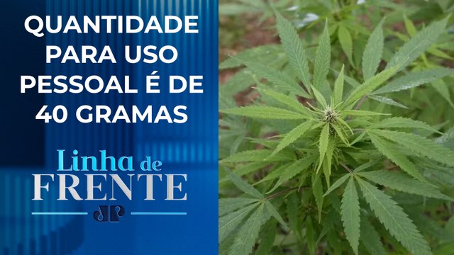 Decisão do STF sobre porte de maconha pode beneficiar condenados? Bancada comenta | LINHA DE FRENTE