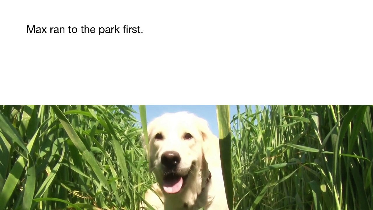 1000098153