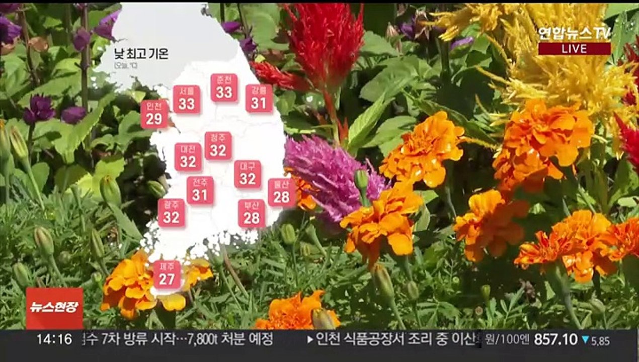 [날씨] 오늘 내륙 중심 30도 이상…주말 세찬 장맛비