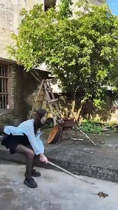 Funfunnyniralvideony and entertainment ##
