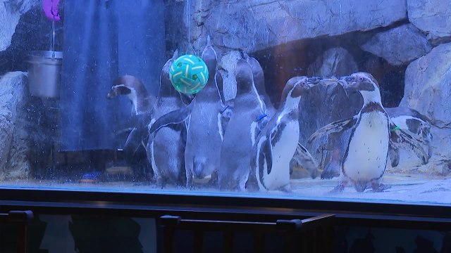 [날씨] 추억의 '63씨월드', 이제 안녕 ...서울 무더위, 내일 중부 장마 / YTN