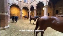 Palio di Siena, le prove di notte