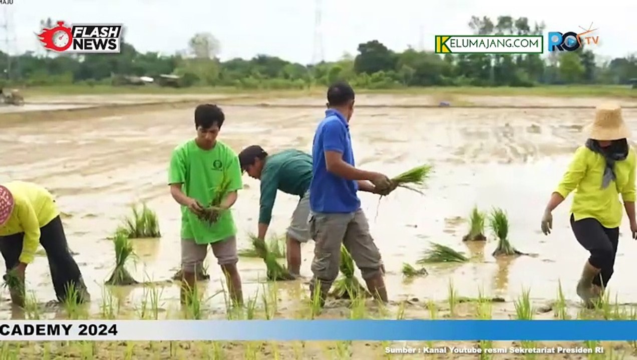 Jokowi Tinjau Pompa Air untuk Pengairan Sawah dan Pengairan Sawah, Desa Bopeng Kota Waring Timur