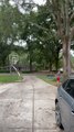 Man Attempts Basketball Trick Shot Using Tree in Driveway