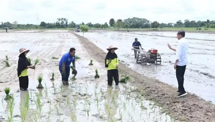 Antisipasi Kekeringan, Presiden Jokowi Tinjau Pompanisasi Air di Kota Waringin Timur