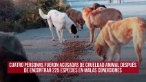 Cuatro personas fueron acusadas de crueldad animal después de que se encontraran 225 especies en malas condiciones