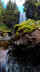The clear waters of Alaska