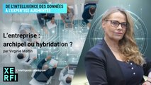 L’entreprise : archipel ou hybridation ? [Virginie Martin]