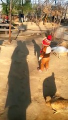 birds around #viral #trending #foryou #tiktok #delicious #gaming #reels