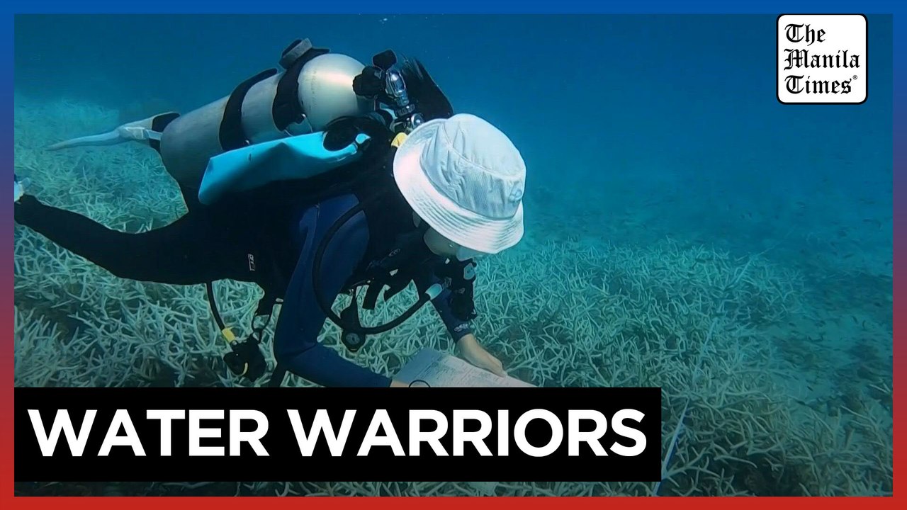 Divers turn conservationists as corals bleach worldwide