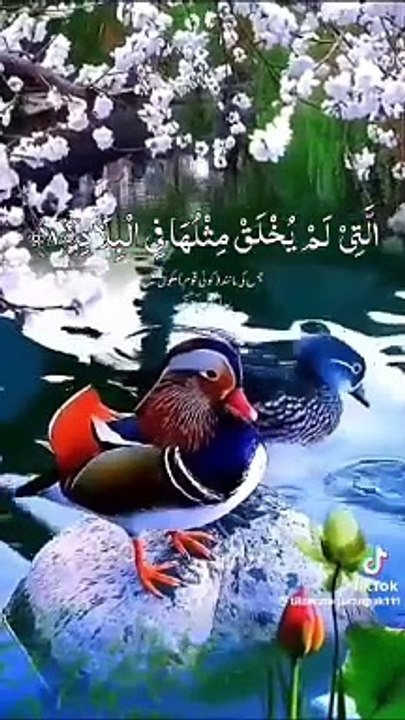 Yad rakho