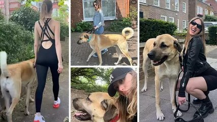 Londra’da yaşayan İngiliz Isidora’nın ‘Kangal’ tutkusu