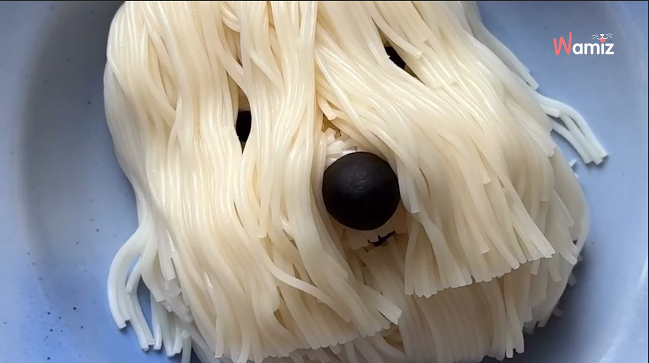 Mann filmt sein Essen: 10 Sekunden später trauen alle ihren Augen nicht