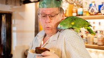 Pub throws special birthday party bash - for its 41yo resident parrot