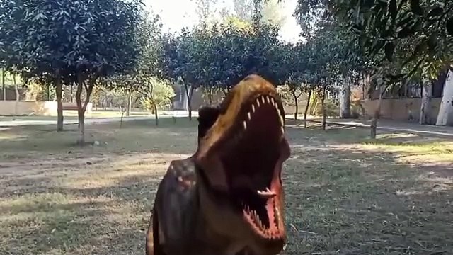 dinosaur dinosaurs dinosaurs t roxy best video dinosaur battle