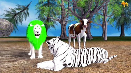 What did the king Lion of the jungle do for the animals in the hot summer | Animal Cartoon English