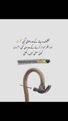پھر کوئی بھی آپ کی زندگی میں معنی نہیں رکھتا