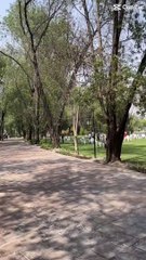 Fun at Oasis Aqua and Resort