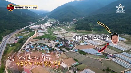 [예고] 곡 소리가 사라진 칠'곡'에서 만나요! 빨래도 칼각으로하는 칠곡 빨래 부대