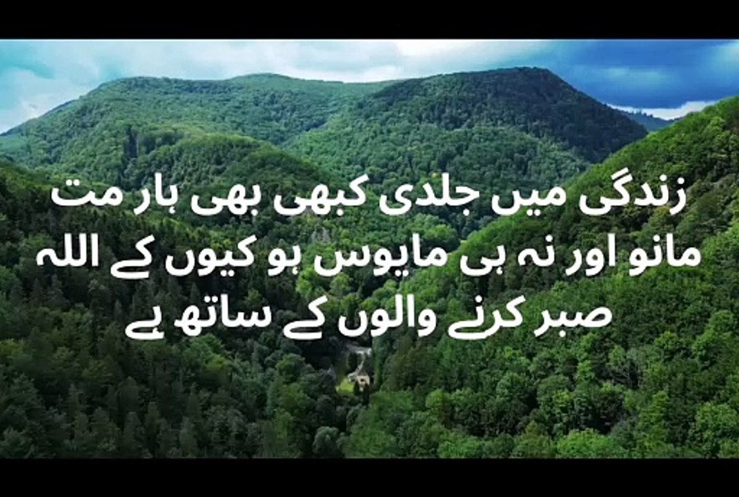 Quote/Urdu quote