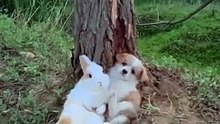beautiful couple