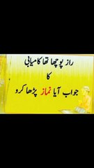 جواب آیا نماز پڑھا کرو