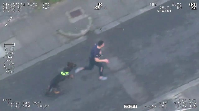 Police dog chases down fugitive driver who tries to run