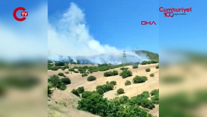 Bingöl’de iki ilçede orman yangını!