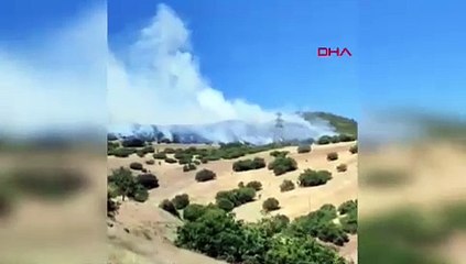 Bingöl'de iki noktada orman yangını