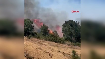 Bingöl’ün Genç ve Kiğı ilçelerinde orman yangını