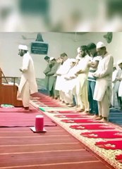 Tellawat Quran recitation#Dailymotiom#viral #video# #tilawatbeautifulvoice #tilawet ||2024