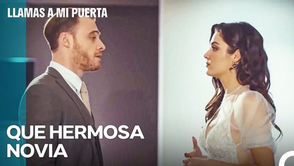 Una Cisne Hipnotiza A Serkan - Llamas A Mi Puerta