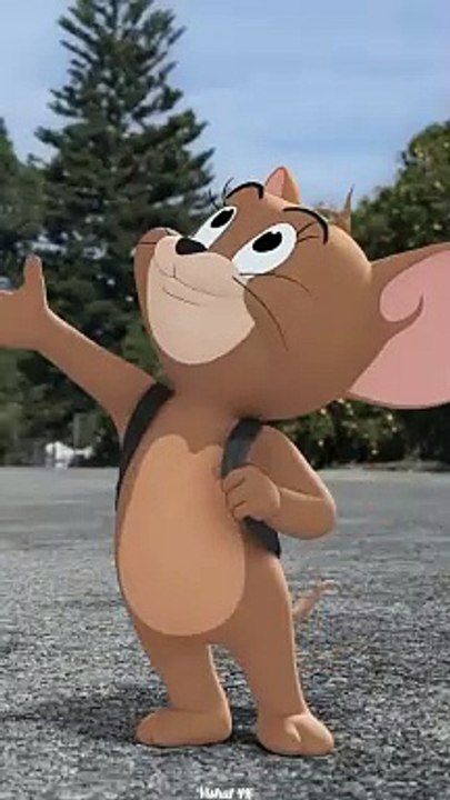 Tom Jerry cartoon video