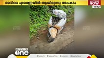 കാട്ടുപന്നി ബൈക്കിലിടിച്ച് അപകടം; മലപ്പുറത്ത് ബൈക്ക് യാത്രികന് ദാരുണാന്ത്യം