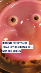 Ultimate Creepy Smile: Japan Reveals Human-Cell Skin for Robots