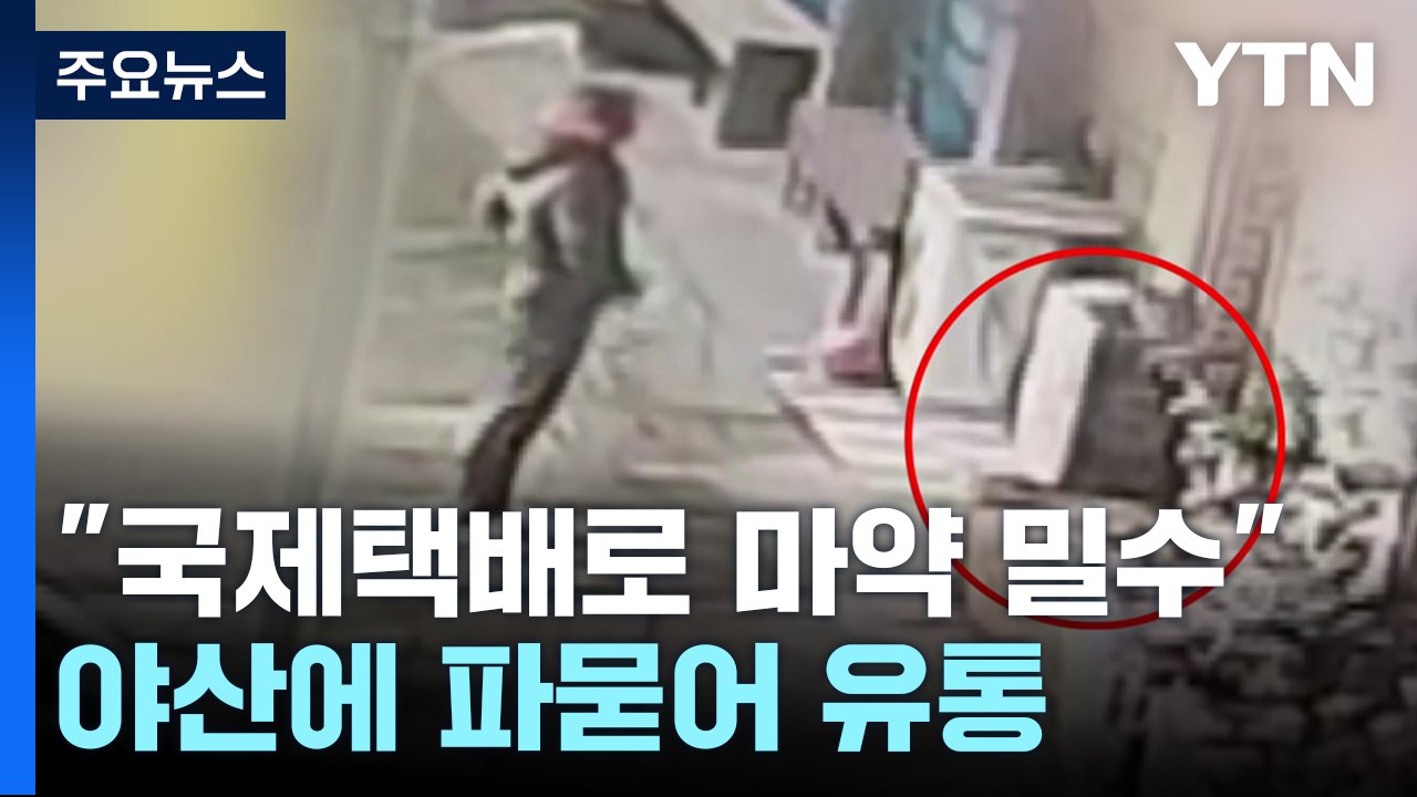 "국제택배로 마약 밀수"...야산에 파묻어 유통 / YTN