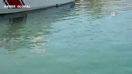 Düzce'de liman içerisinde görenler şaşkınlığa uğradı