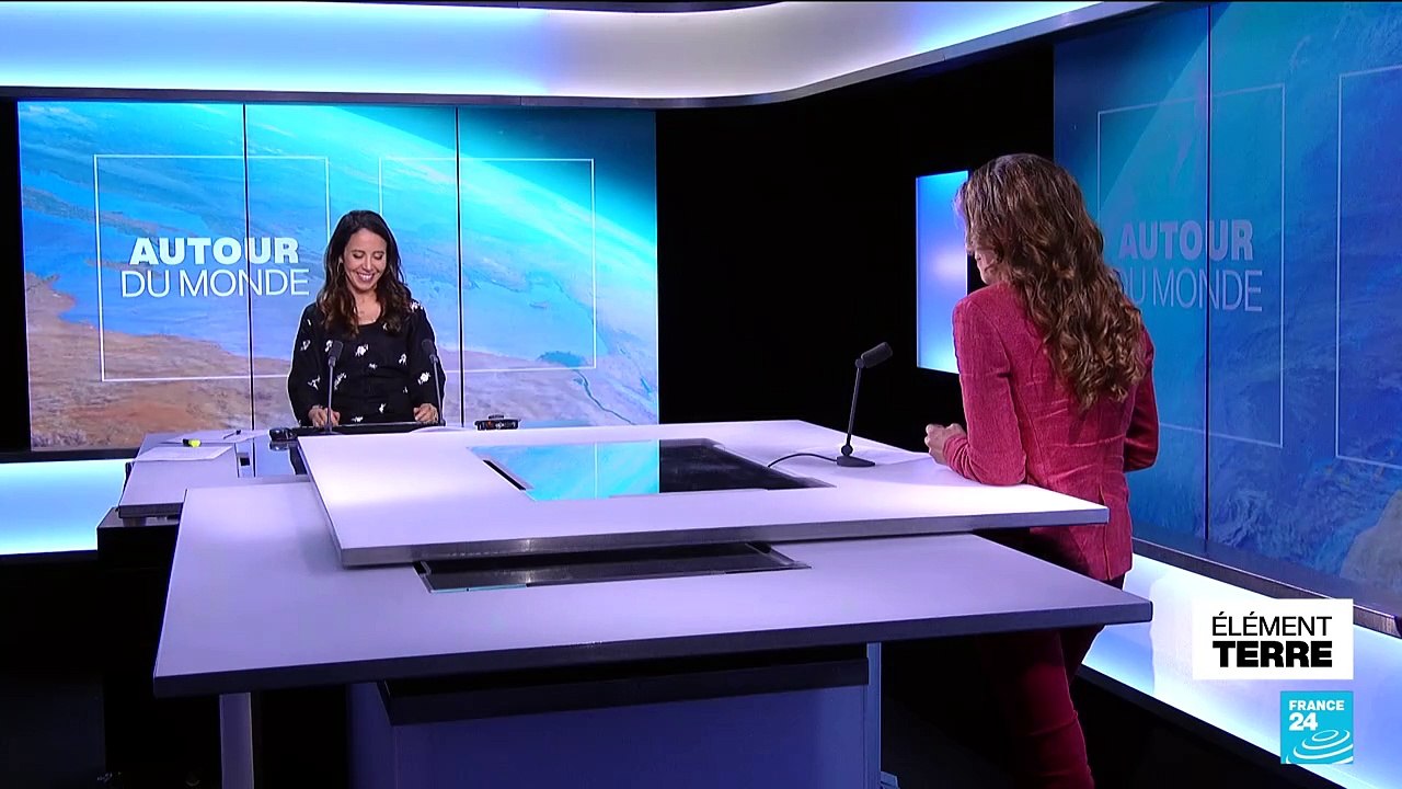 Des trésors dans nos coquilles d'œufs