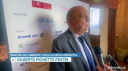 Energia, Pichetto: stop al carbone e raddoppio delle rinnovabili