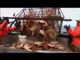 Deadliest Catch - Quick Catch 13