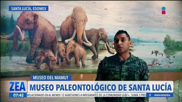 El Museo del Mamut alberga 69 esqueletos de estos gigantes y una basta historia