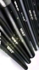 Professional 30PCS Black Makeup Brushes Set