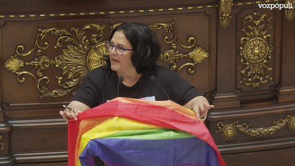 Sigue el lío en Valencia: la oposición coloca banderas LGTBI para 'atacar'a la alcaldesa