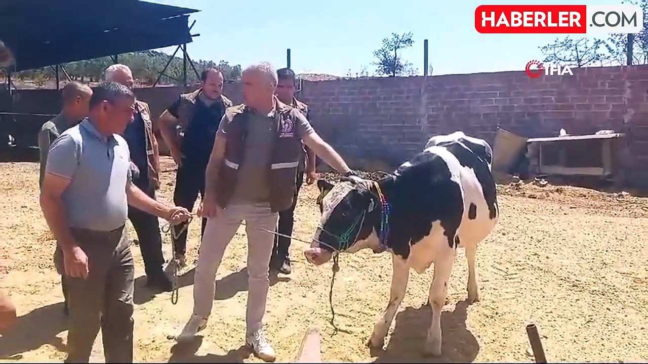 Manisa'da yangın felaketinin yaraları desteklerle sarılıyor