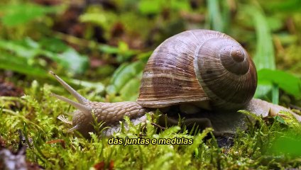 Explorando o desconhecido O que acontece após despejar o negativo