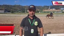 Hipismo: Luis Peraza, Entrenador.